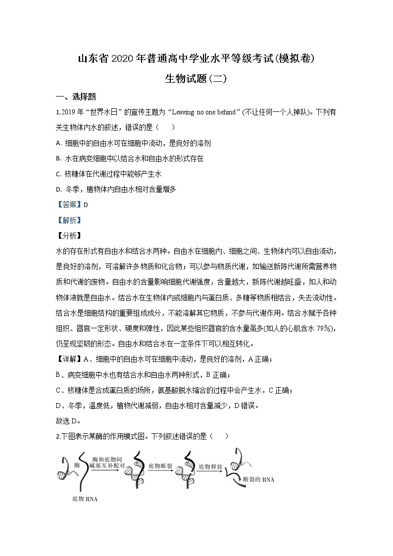 山东省2020届高三普通高中学业水平等级考试（模拟卷二）生物试题01