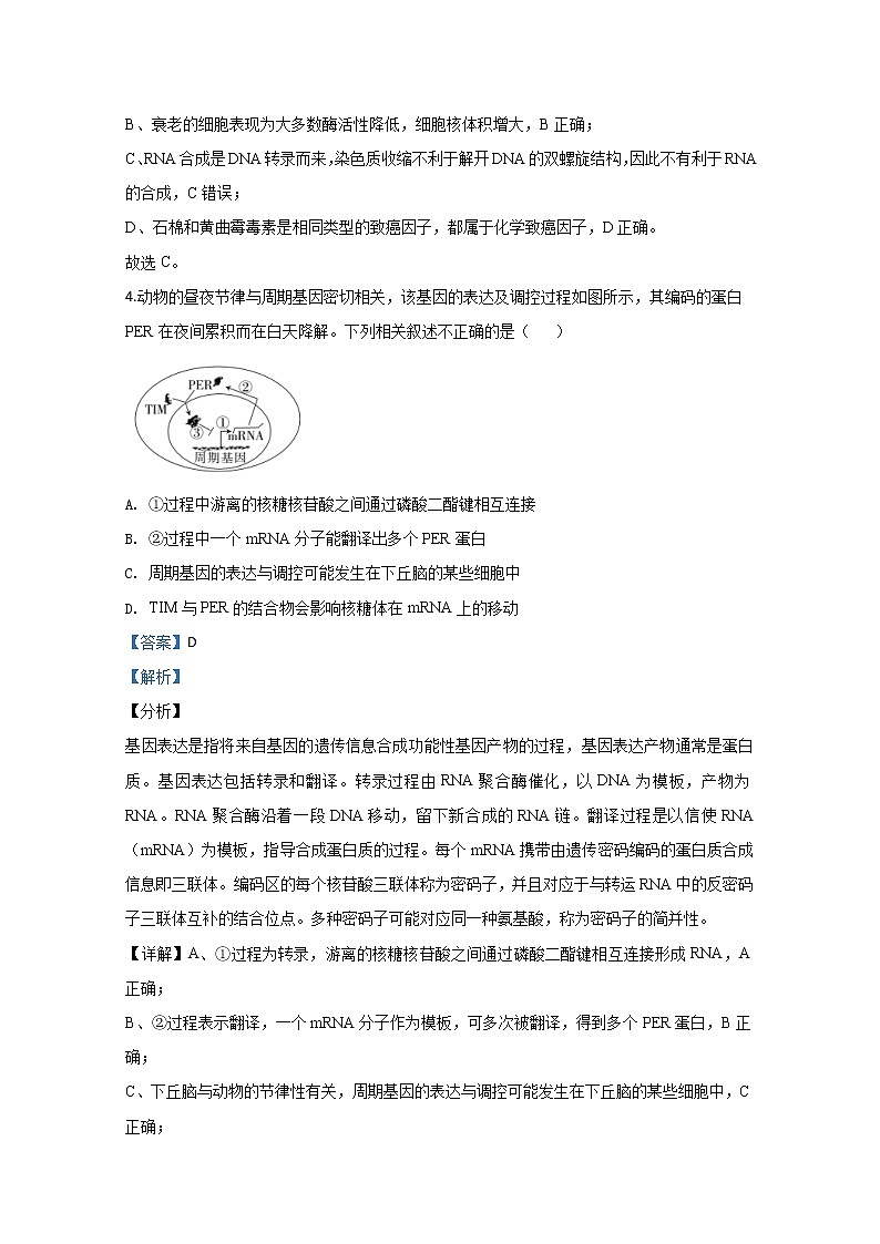 山东省2020届高三普通高中学业水平等级考试（模拟卷二）生物试题03