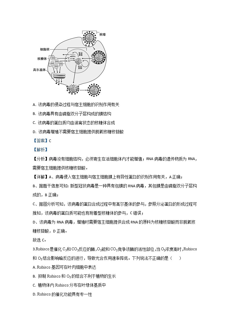山东省德州市2020届高三模拟生物试题第2页