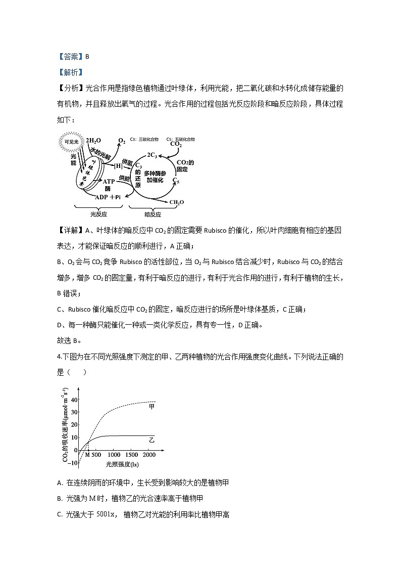 山东省德州市2020届高三模拟生物试题第3页