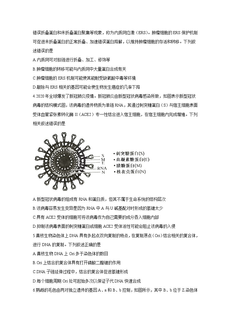 山东省菏泽市2020届高三联合模拟考试生物试题第2页