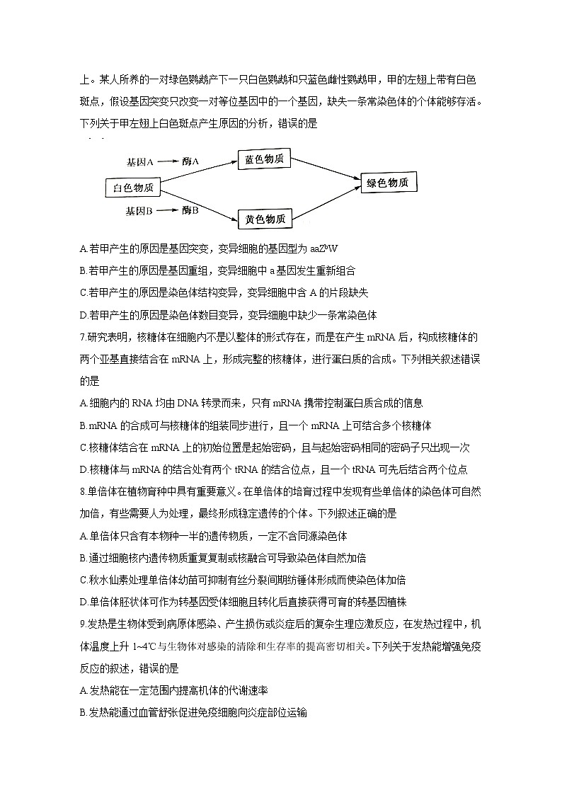 山东省菏泽市2020届高三联合模拟考试生物试题第3页