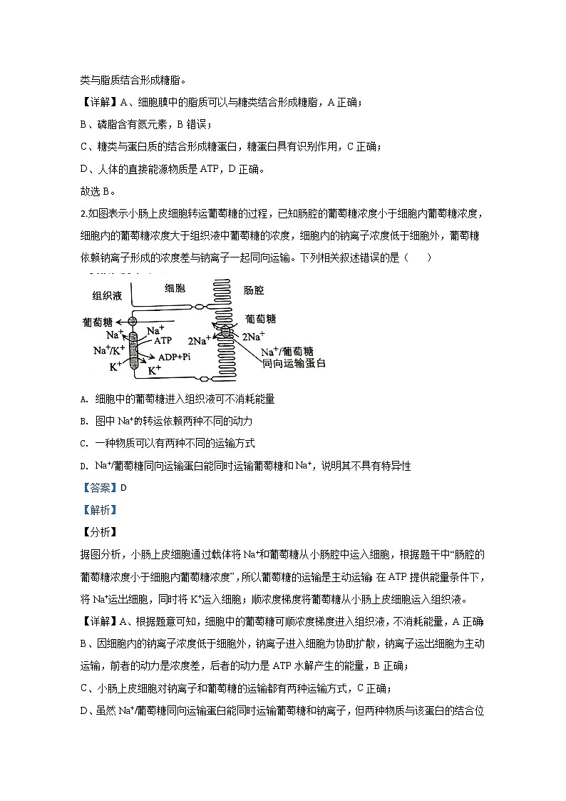 山东省菏泽市2020届高三联合模拟考试生物试题第2页