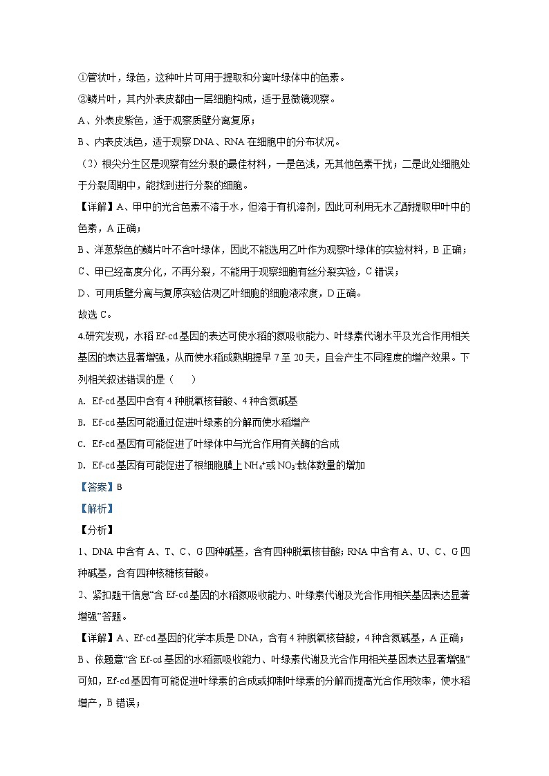 山东省聊城市2020届高三模拟（一）生物试题03