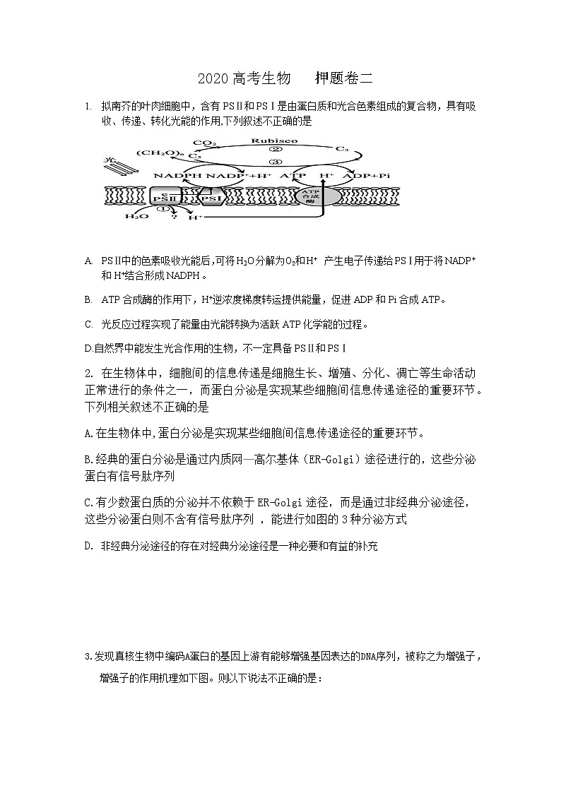 2020北京高考生物押题试卷二01