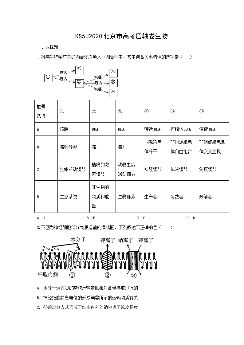 2020北京市高考压轴卷 生物01