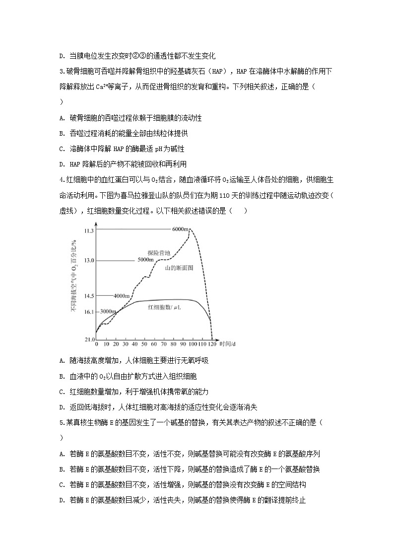 2020北京市高考压轴卷 生物02