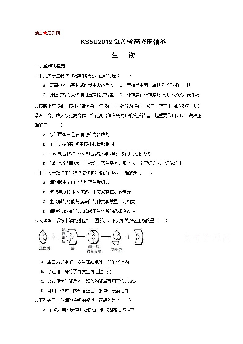 2020江苏省高考压轴卷  生物01
