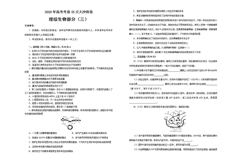 2020年高考考前45天大冲刺卷 理综生物部分三01