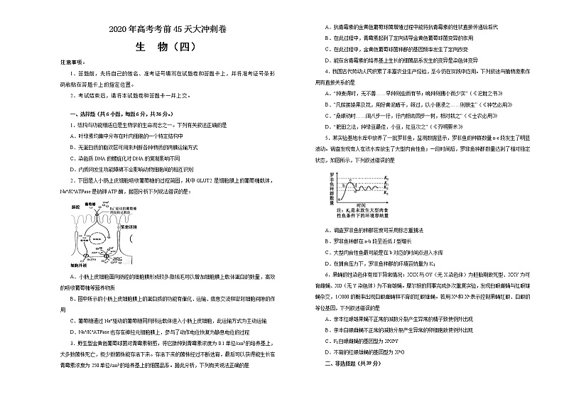 2020年高考考前45天大冲刺卷 理综生物部分四01