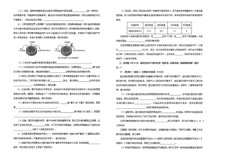 2020年高考全国I卷高三最新信息卷 生物（十一）02