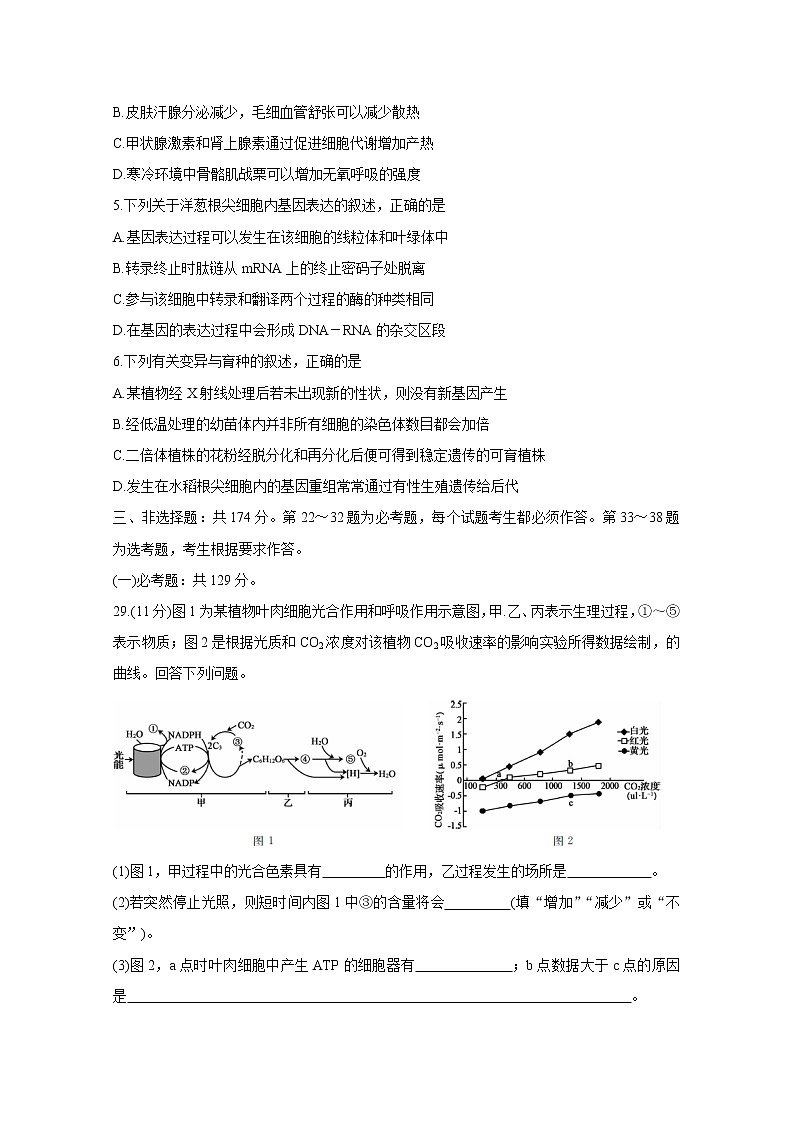 2020年普通高等学校招生全国统一考试内参模拟测卷（一）（全国3卷） 生物02