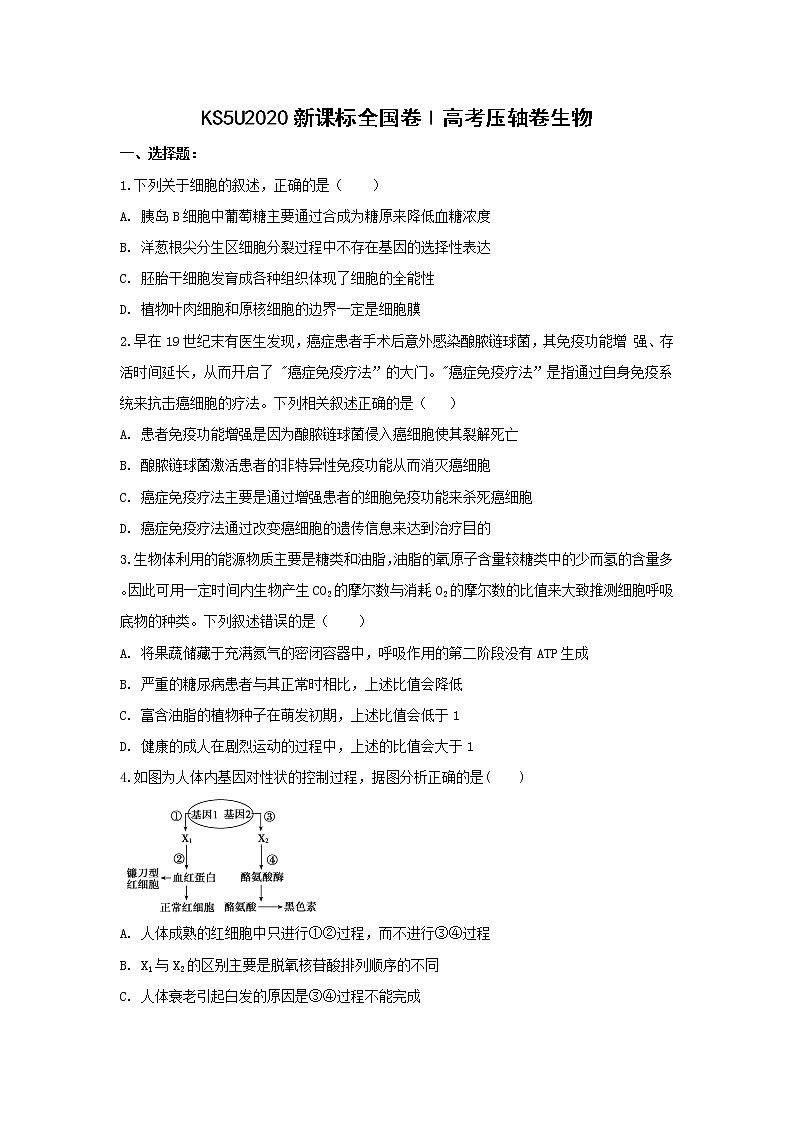 2020全国卷Ⅰ高考压轴卷 生物01