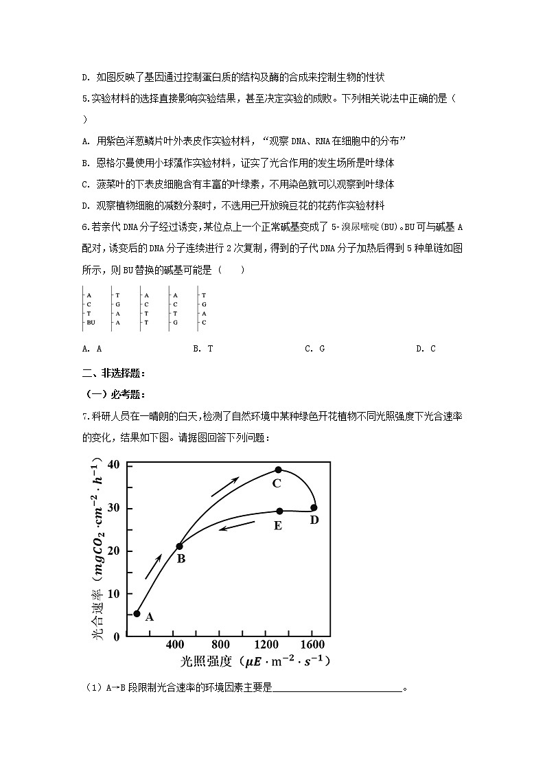 2020全国卷Ⅰ高考压轴卷 生物02