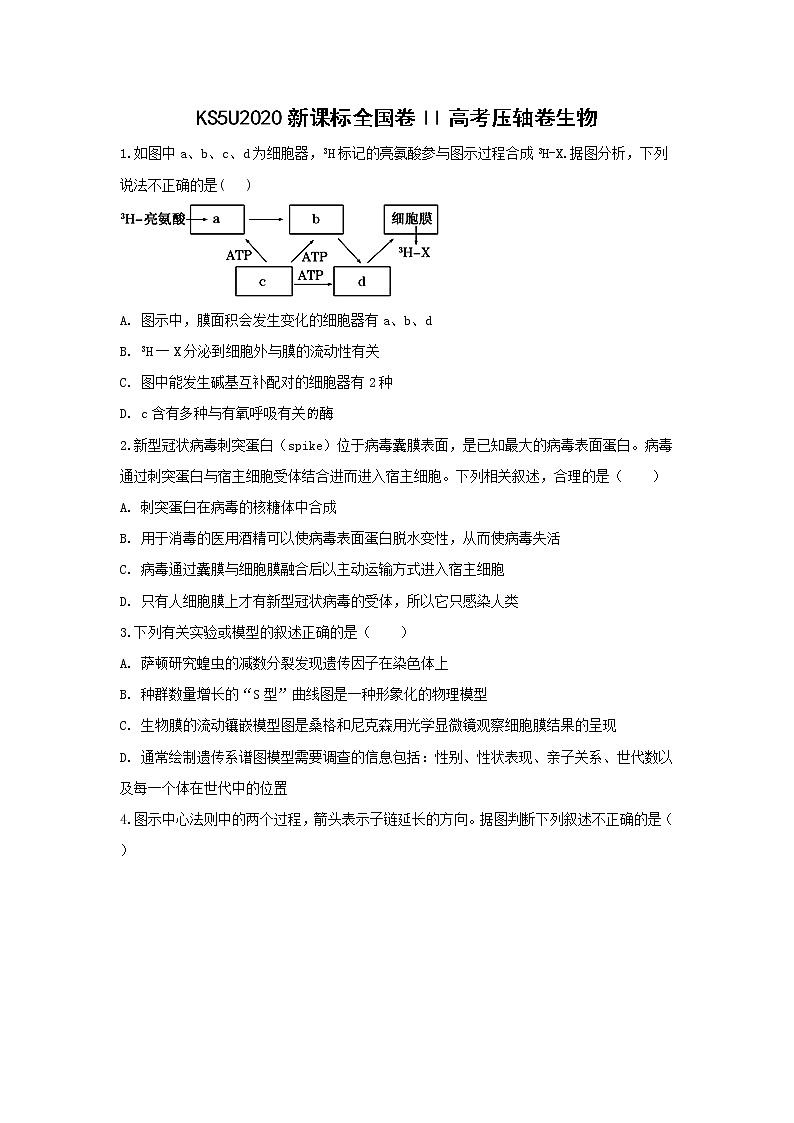 2020全国卷Ⅱ高考压轴卷 生物01