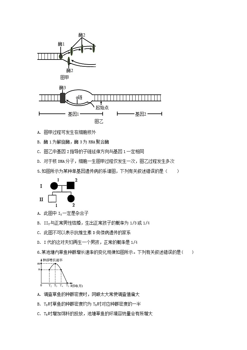 2020全国卷Ⅱ高考压轴卷 生物02