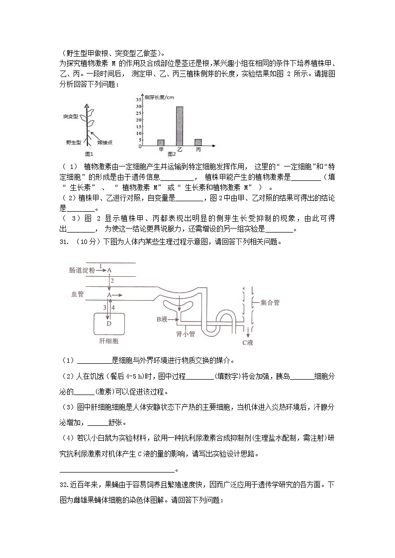 2020全国卷Ⅲ高考压轴卷 生物03