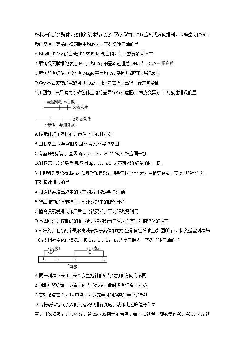 2020年全国高考冲刺压轴卷 生物02