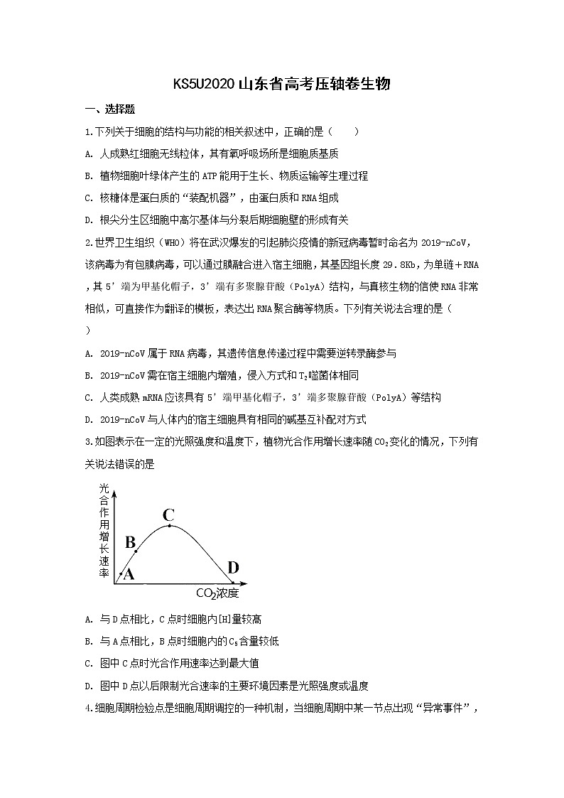 2020山东省高考压轴卷 生物01