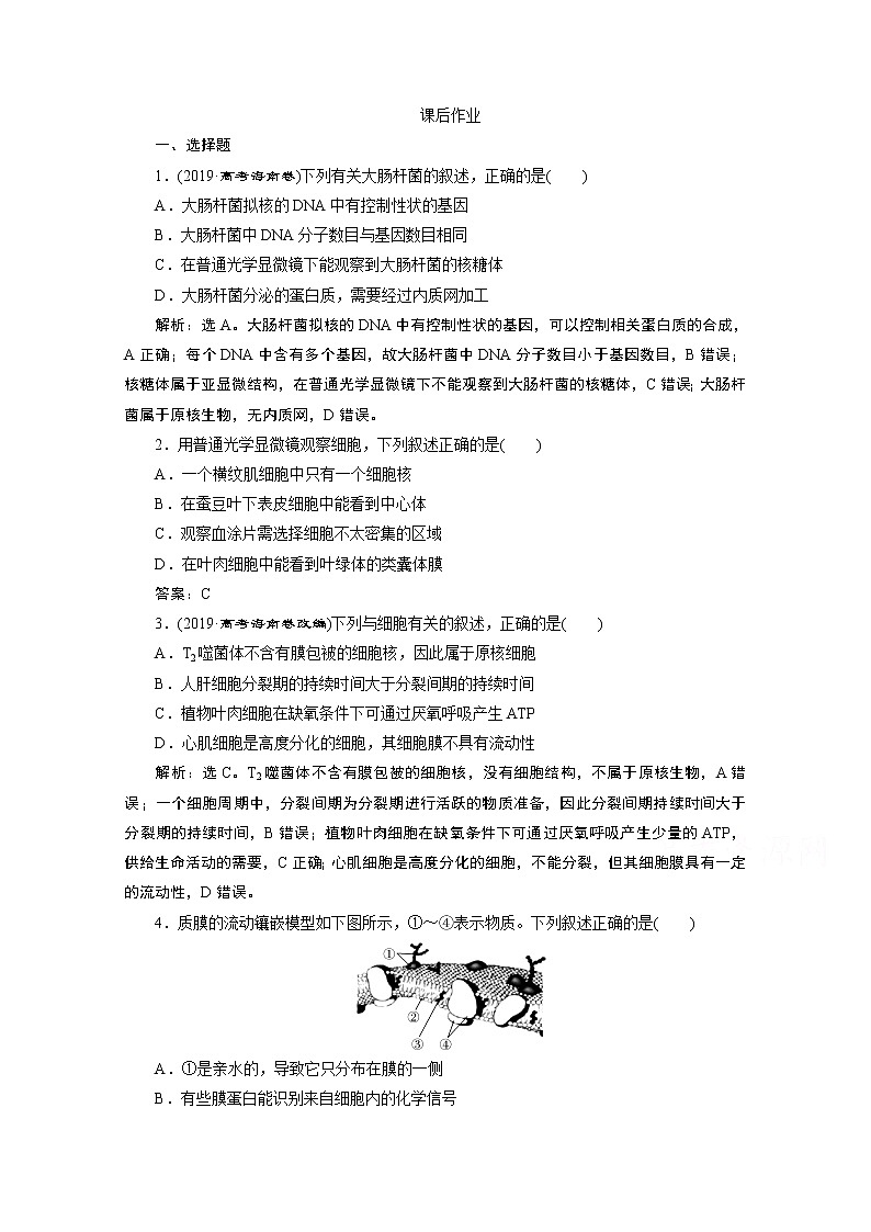 2020浙江高考生物二轮课后作业：第2讲　细胞的结构01