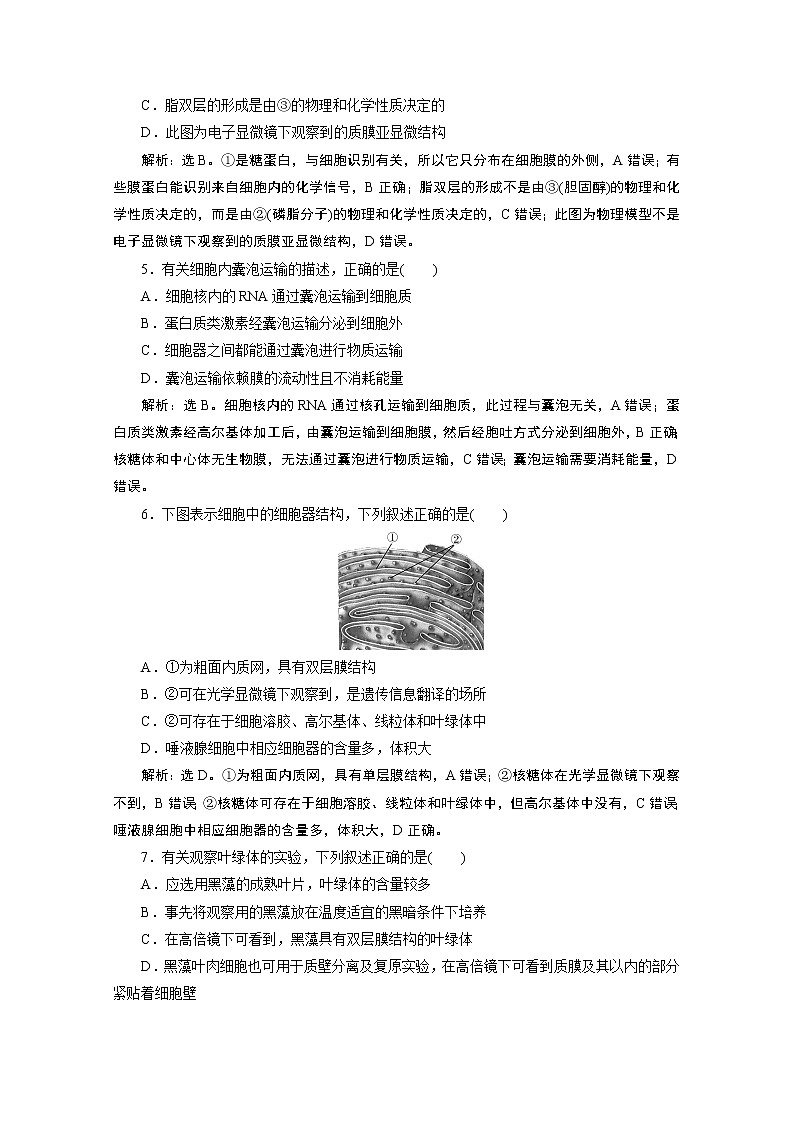 2020浙江高考生物二轮课后作业：第2讲　细胞的结构02