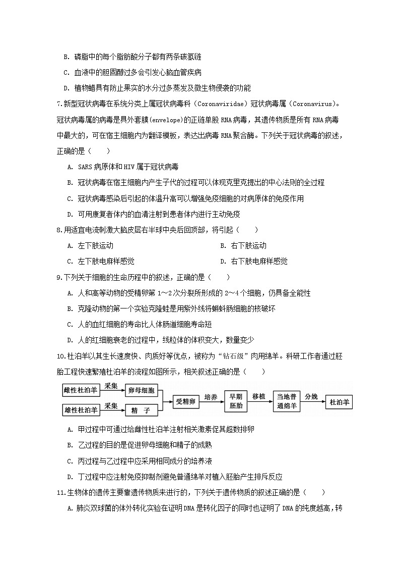 2020浙江省高考压轴卷  生物02