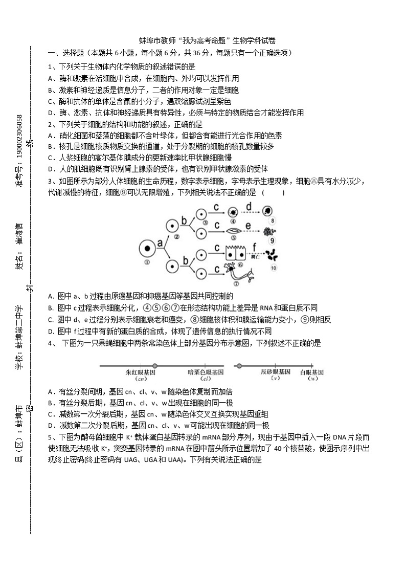 安徽省蚌埠市教师2020届高三仿真模拟生物试题（蚌埠二中1）01