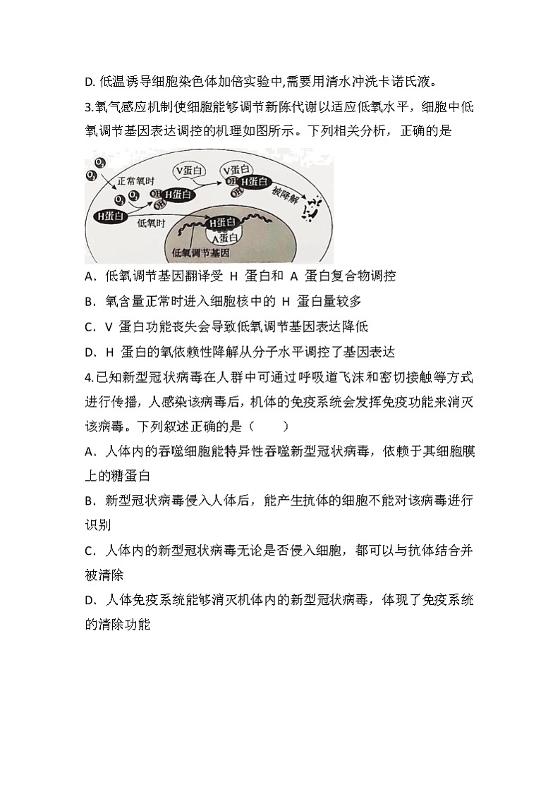 安徽省蚌埠市教师2020届高三仿真模拟生物试题（蚌埠二中2）02