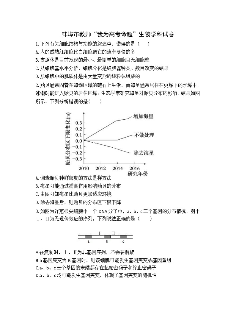 安徽省蚌埠市教师2020届高三仿真模拟生物试题（蚌埠二中6）01