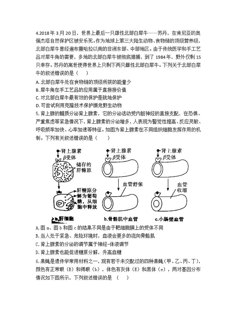 安徽省蚌埠市教师2020届高三仿真模拟生物试题（蚌埠二中6）02