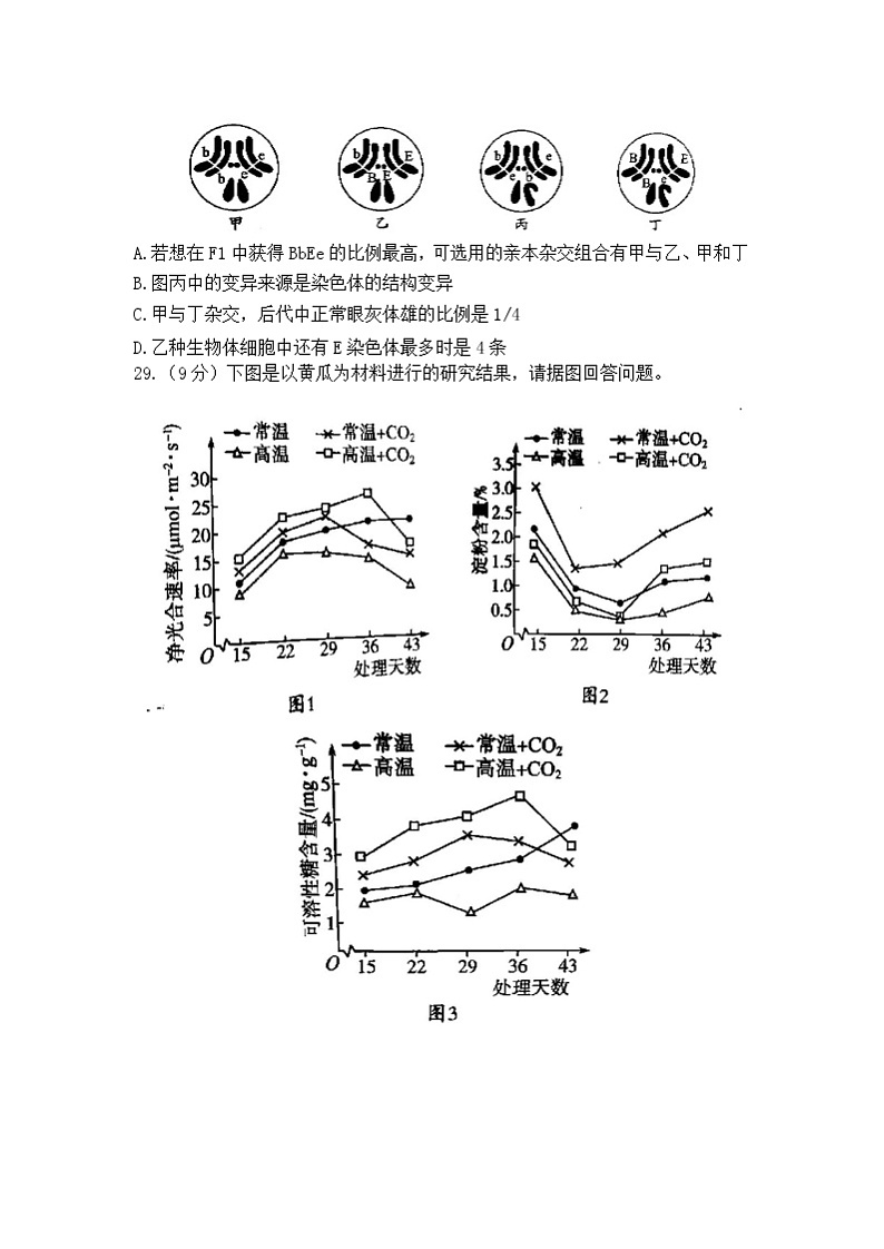 安徽省蚌埠市教师2020届高三仿真模拟生物试题（蚌埠二中6）03