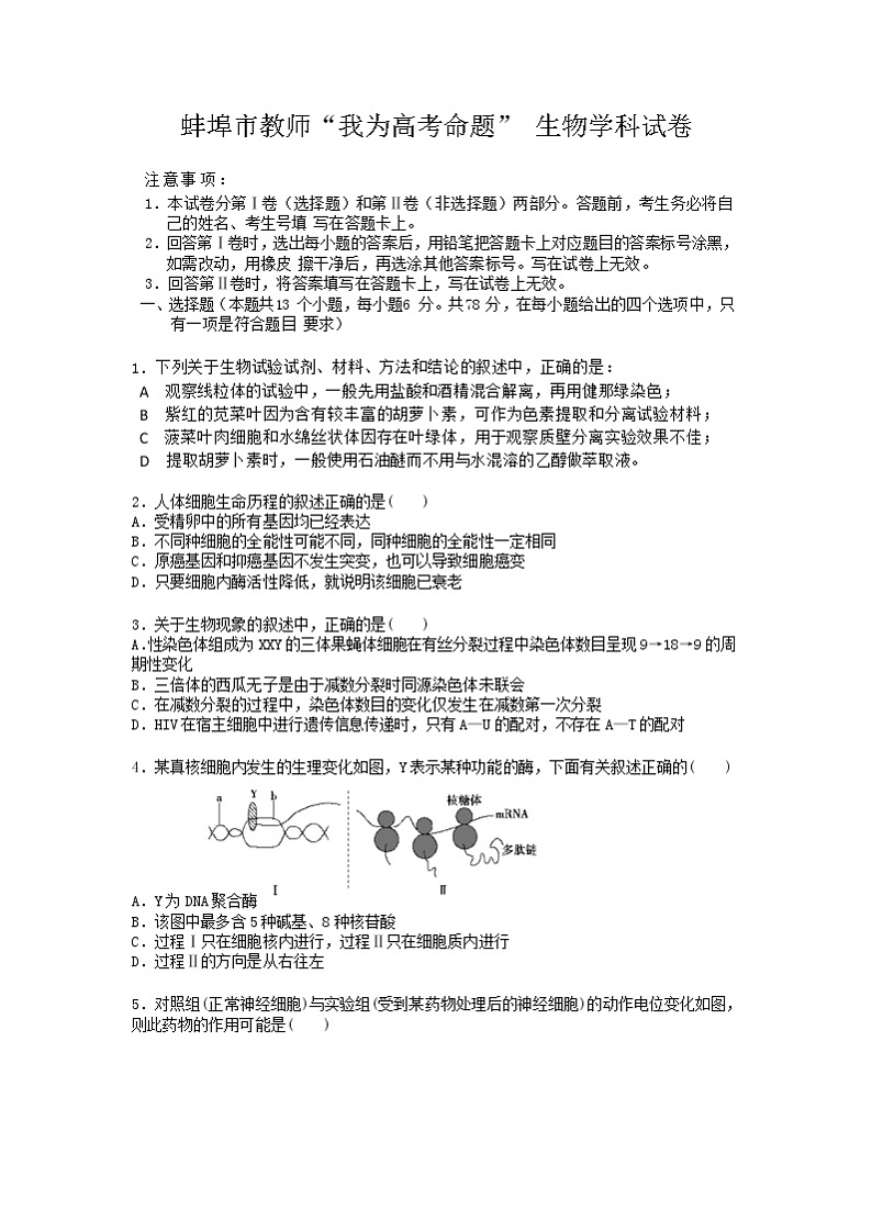 安徽省蚌埠市教师2020届高三仿真模拟生物试题（蚌埠二中8）01