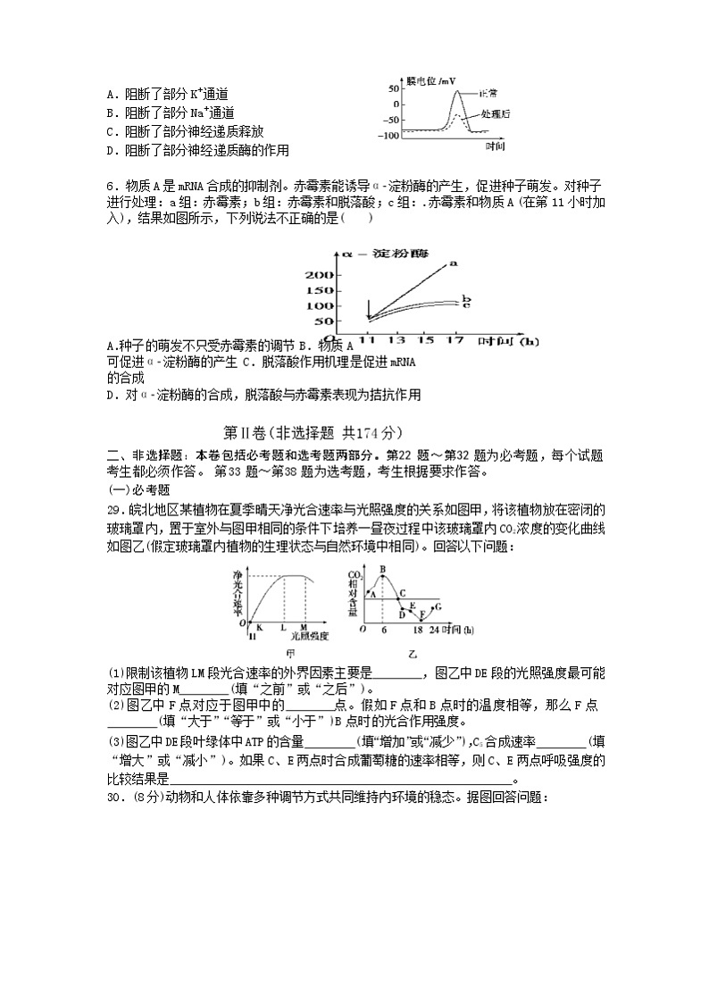 安徽省蚌埠市教师2020届高三仿真模拟生物试题（蚌埠二中8）02