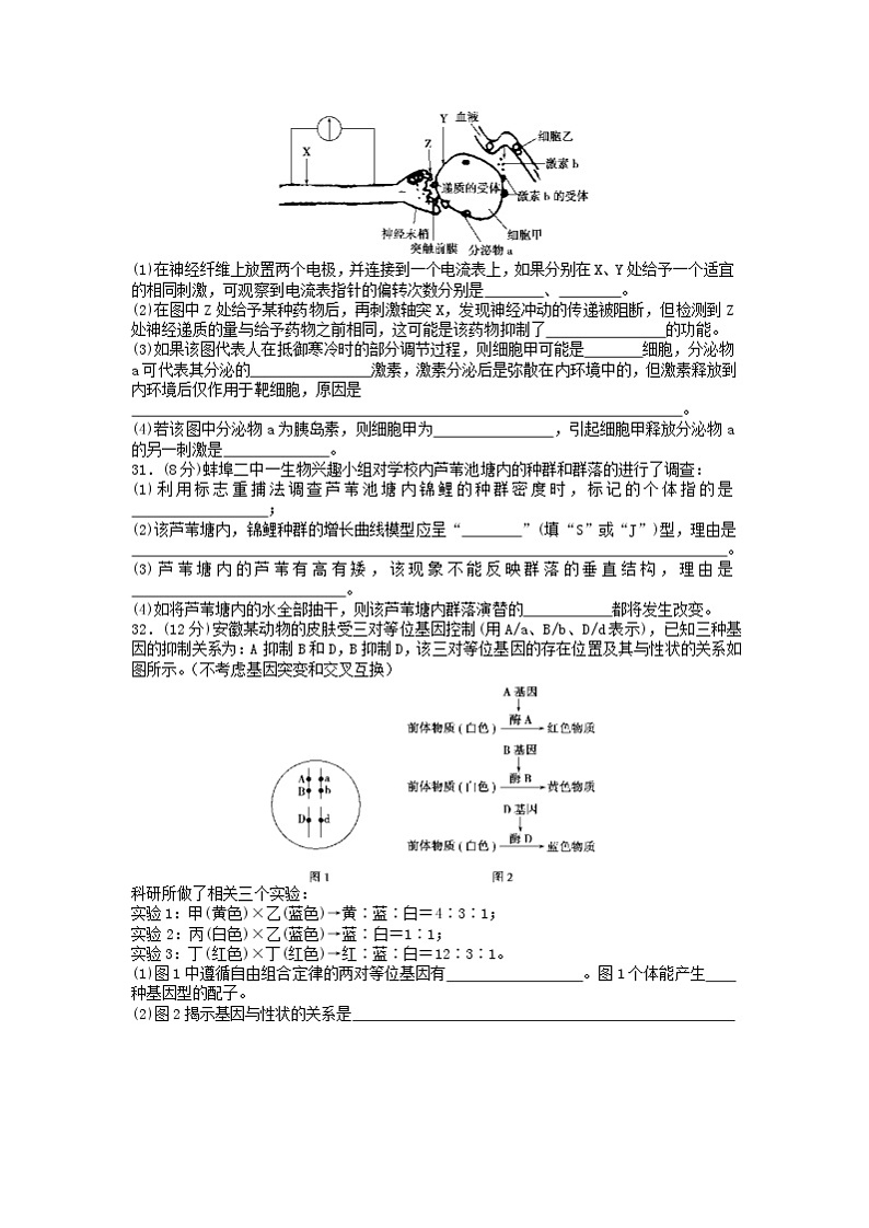 安徽省蚌埠市教师2020届高三仿真模拟生物试题（蚌埠二中8）03