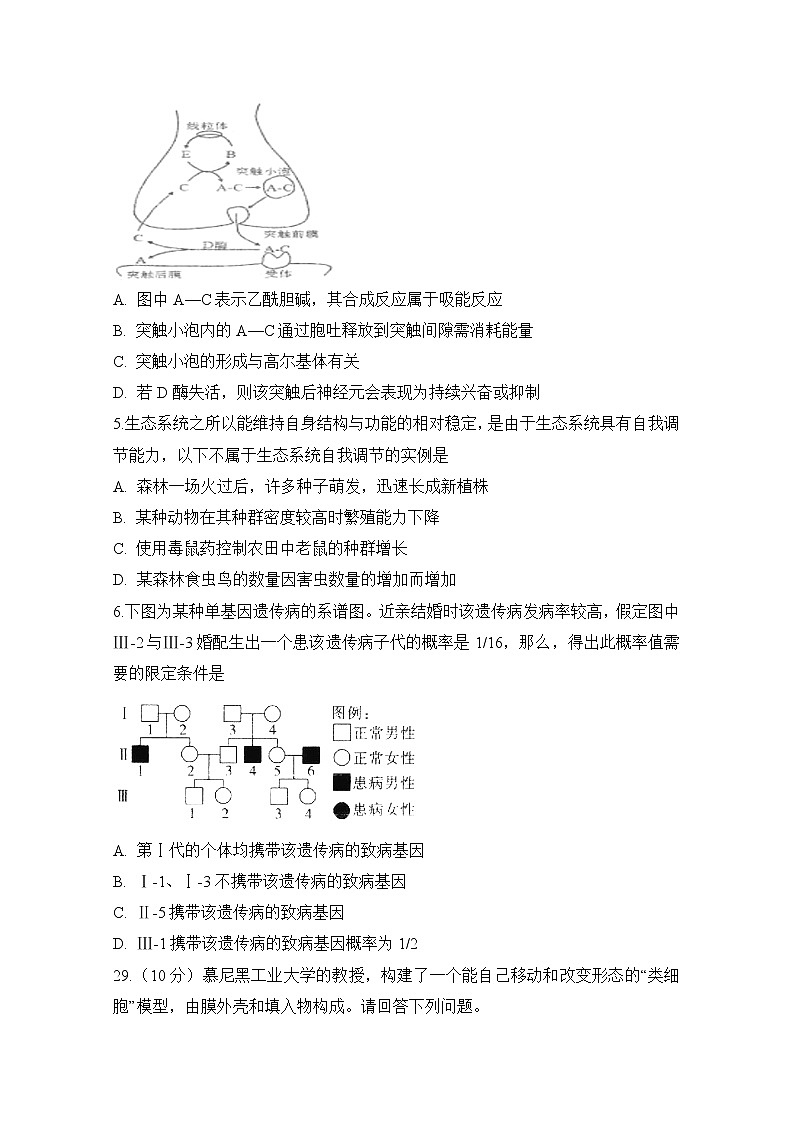 安徽省滁州市定远县重点中学2020届高三5月模拟理科综合生物试题02