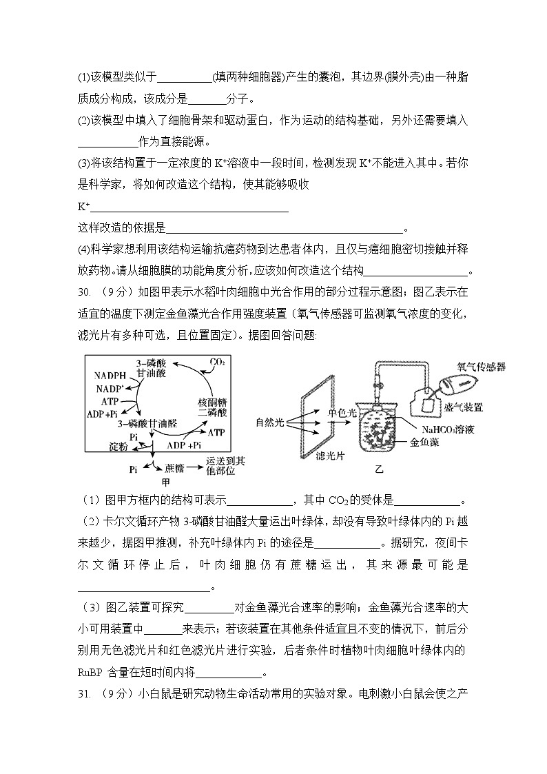 安徽省滁州市定远县重点中学2020届高三5月模拟理科综合生物试题03