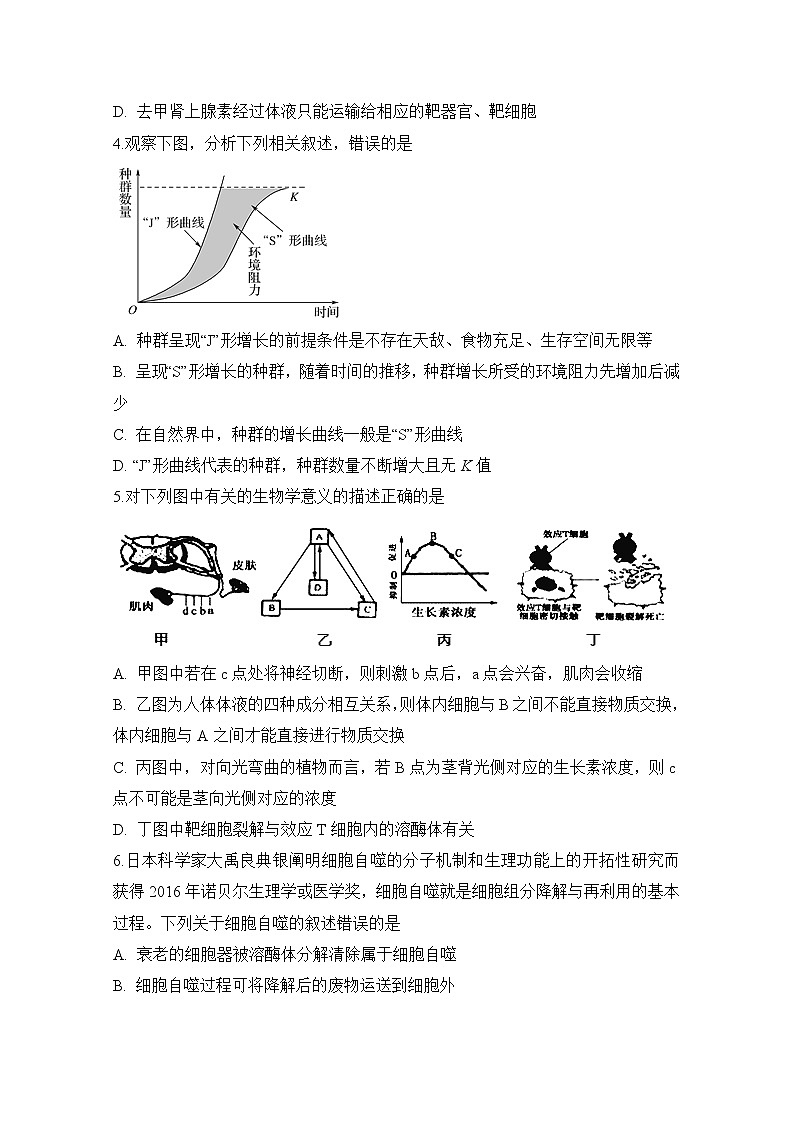 安徽省定远县民族中学2020届高三5月模拟检测理科综合生物试题02