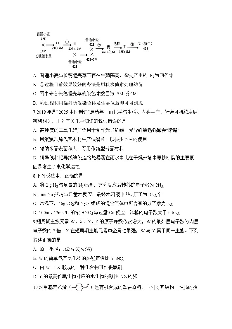 安徽省定远县育才学校2020届高三6月模拟生物试题03