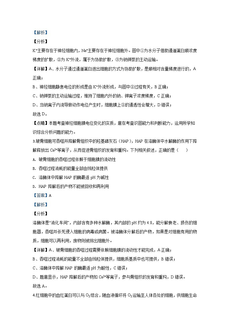 北京市2020届高三高考压轴卷生物试题03