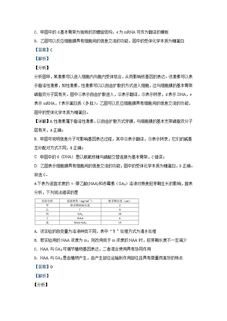 北京市2020届高三上学期11月中学生标准学术能力诊断性测试生物试题03