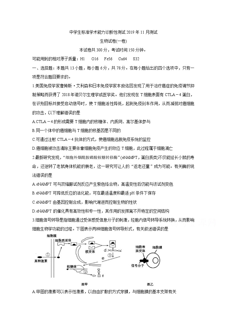 北京市2020届高三中学生标准学术能力诊断性测试（11月） 生物01