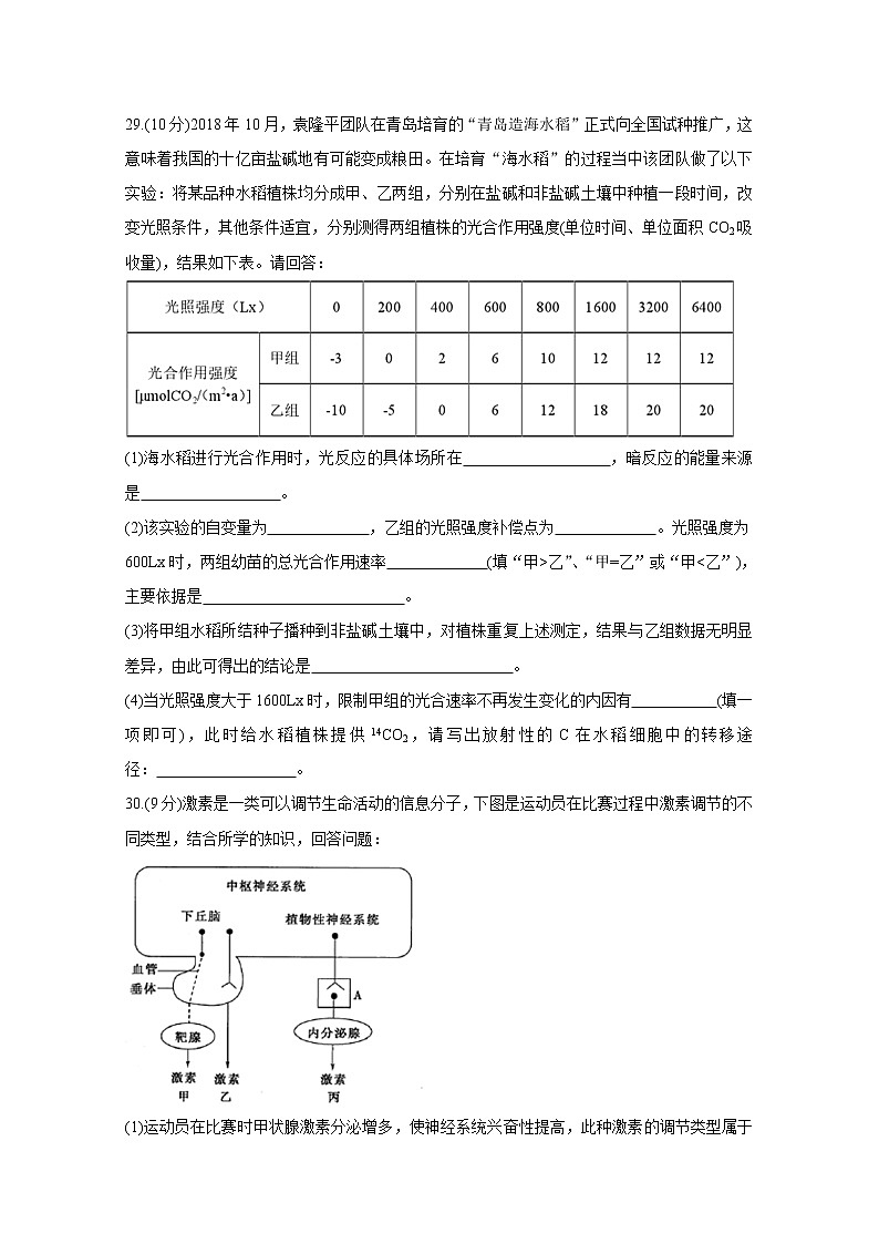 北京市2020届高三中学生标准学术能力诊断性测试（11月） 生物03