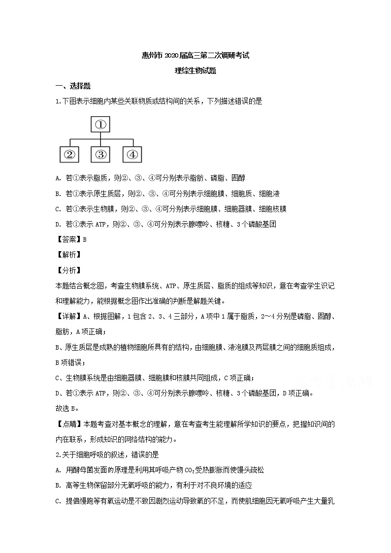 广东省惠州市2020届高三（10月）调研生物试题01