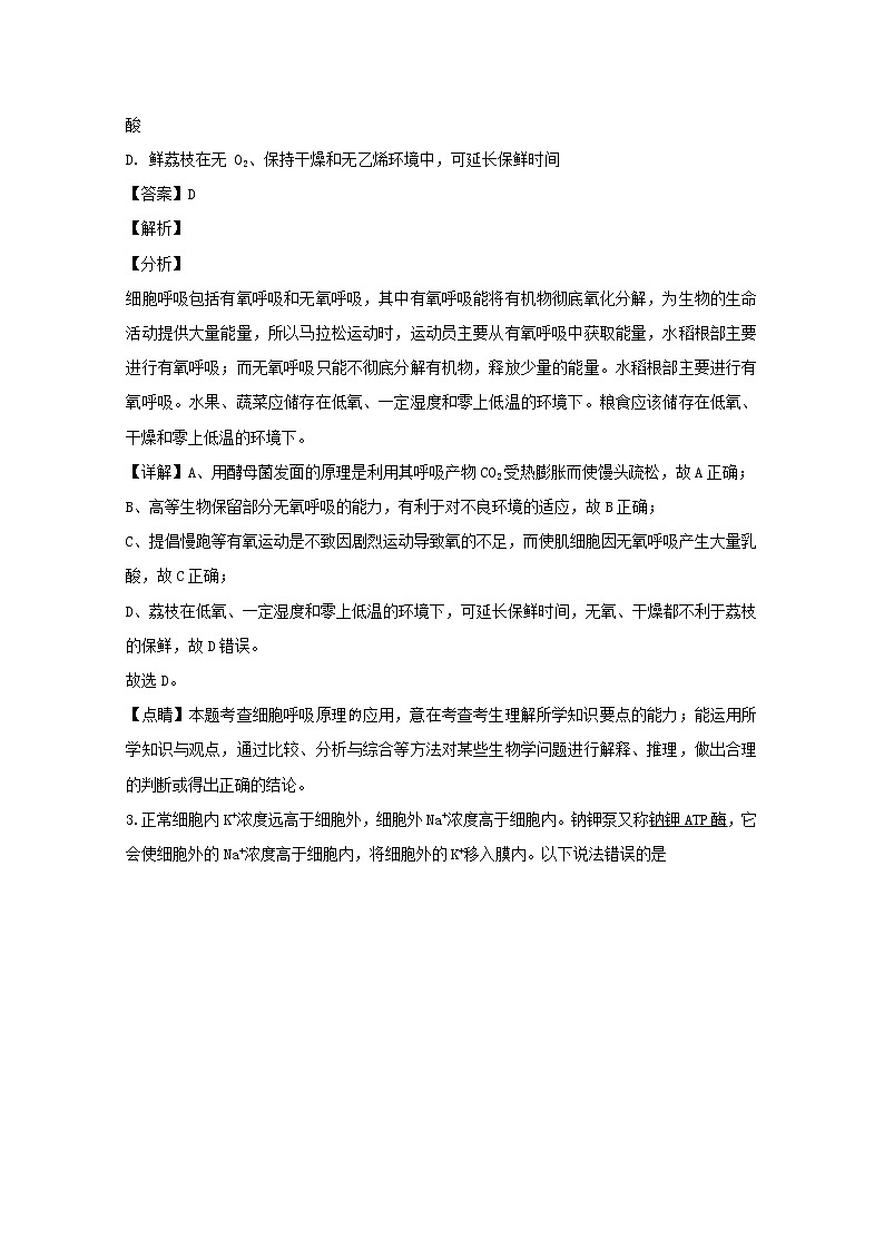 广东省惠州市2020届高三（10月）调研生物试题02