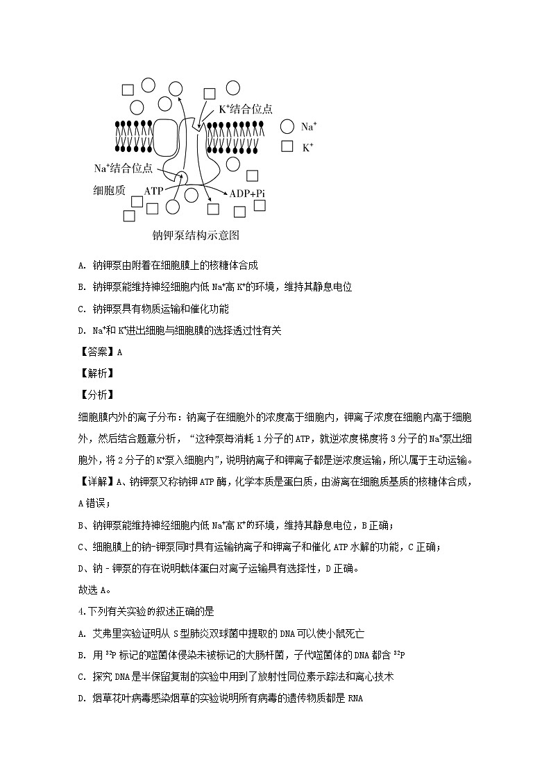 广东省惠州市2020届高三（10月）调研生物试题03