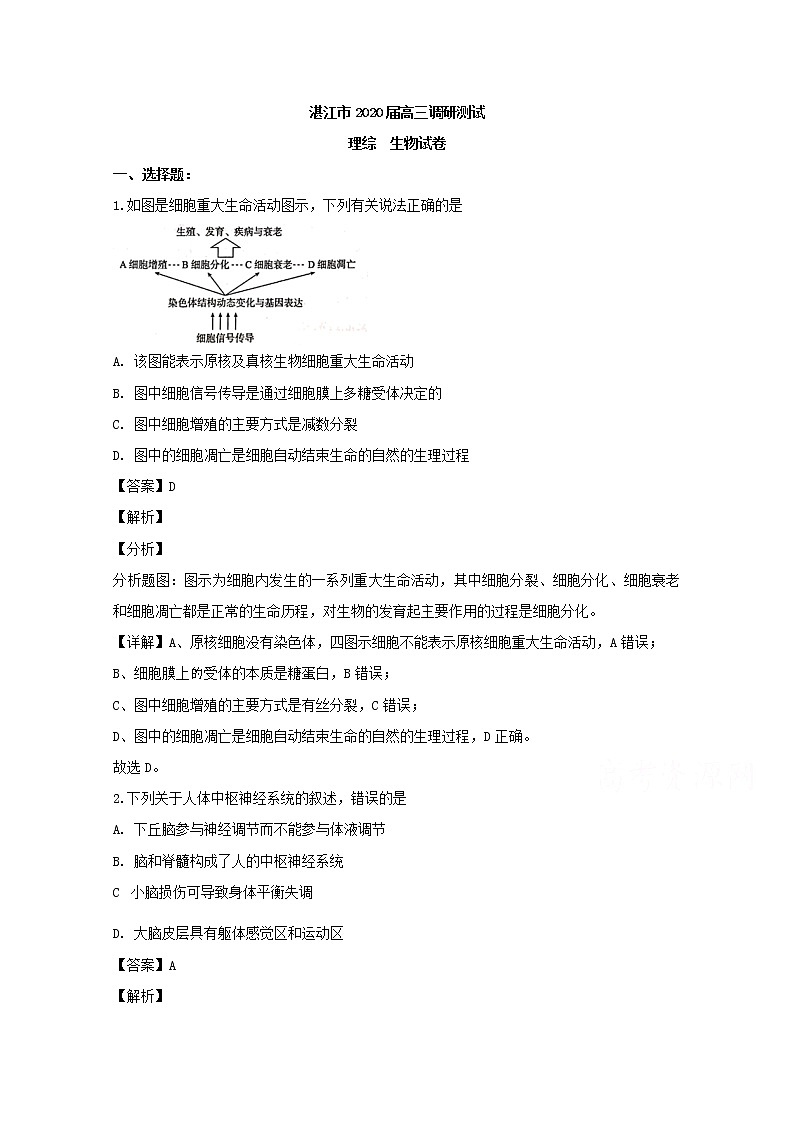 广东省湛江市2020届高三（9月）调研理综生物试题第1页