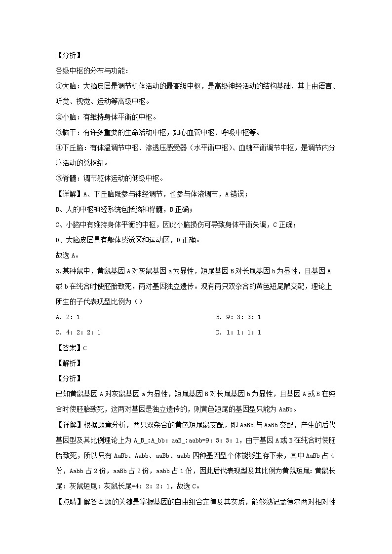 广东省湛江市2020届高三（9月）调研理综生物试题第2页