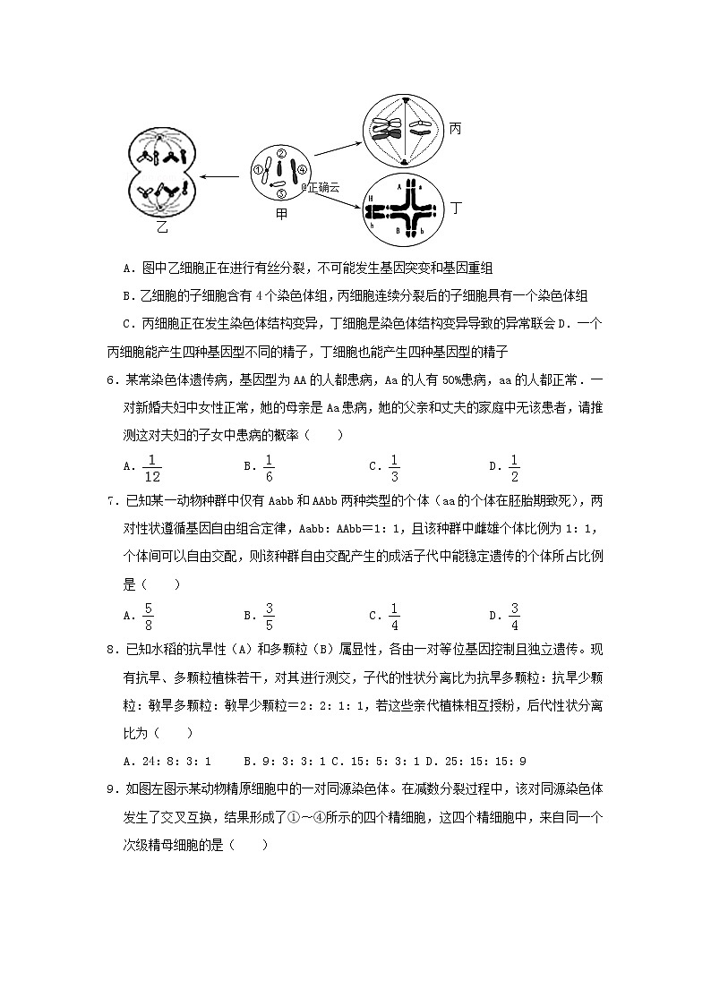 河北省石家庄市行唐县三中2020届高三11月第一次考试生物试卷第2页