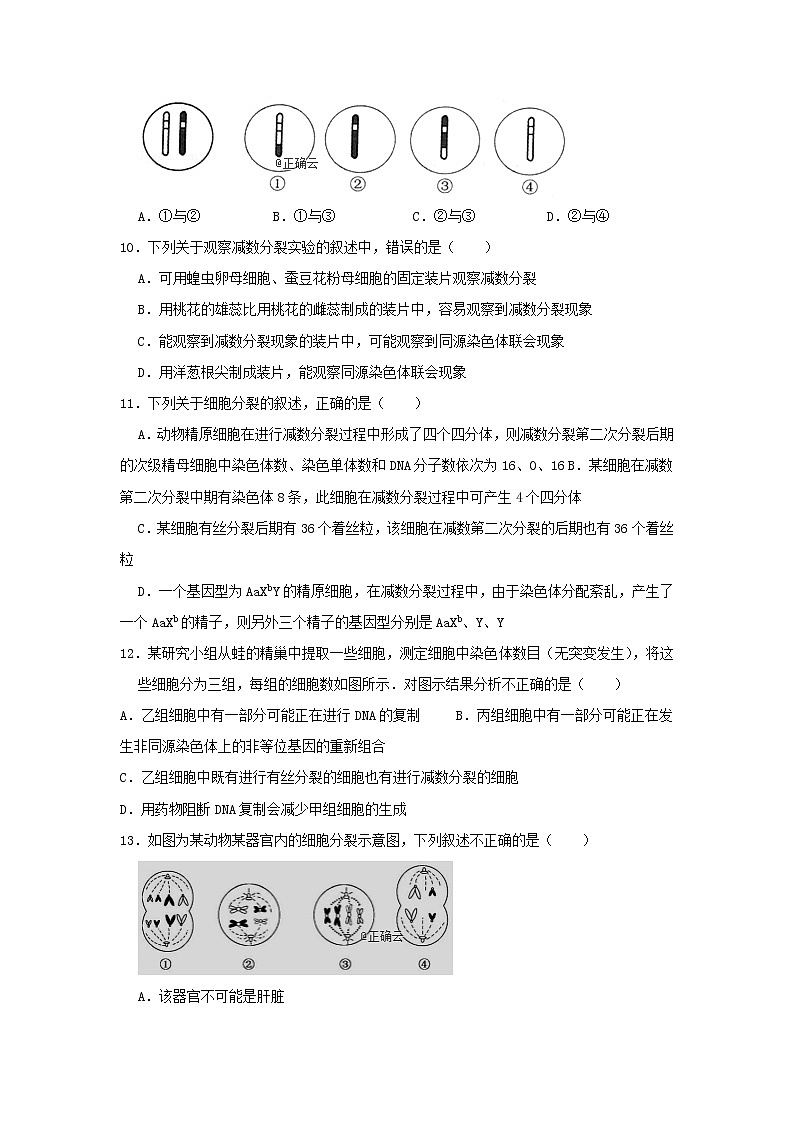 河北省石家庄市行唐县三中2020届高三11月第一次考试生物试卷第3页