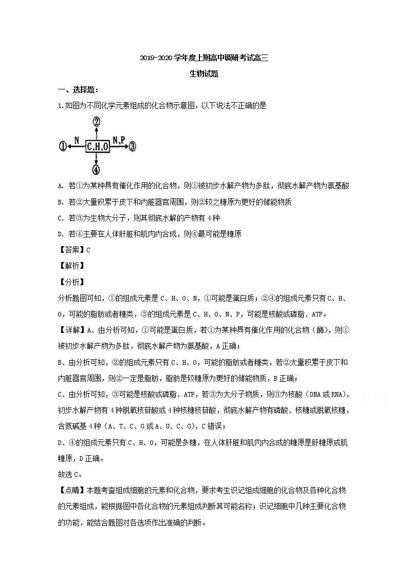河南省新蔡县2020届高三（12月）调研生物试题01
